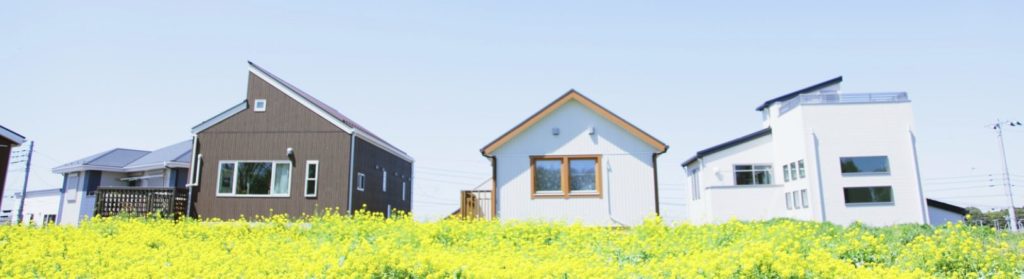 アライグマが好む環境と被害が出やすい家の特徴のイメージ図