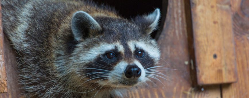 侵入経路の実例と傾向パターンのイメージ図