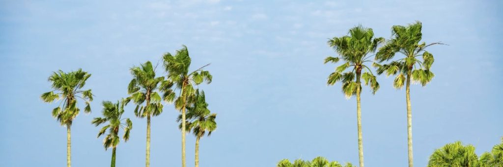 宮崎県の助成制度・相談窓口まとめのイメージ図