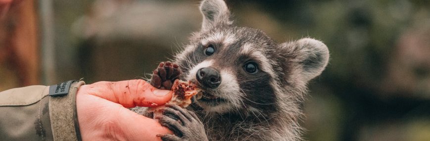 特定外来生物制度の基本と背景の説明図